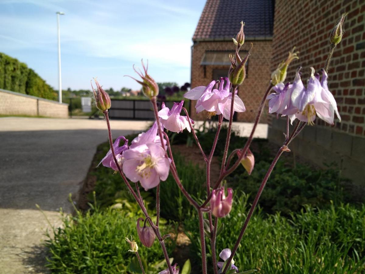 Vakantiewoning Mierzicht Met Prive Wellness Haspengouw Boekhout Bagian luar foto